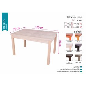 Berta étkezőasztal Geri székkel  - étkezőgarnitúra