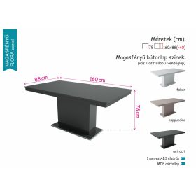 MAGASFÉNYŰ FLÓRA étkezőasztal antracit színben